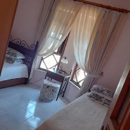 فيلة Pv2337 *
