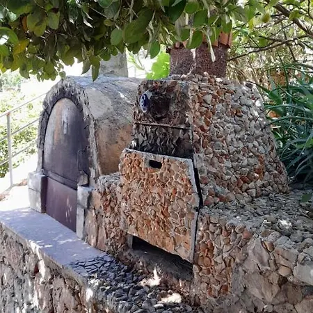 Pv2337 فيلة
